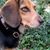 Mary Jane Mauch's profile image