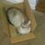 Tina Marie Holt's profile image