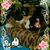 Barb Mihal's profile image
