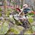 Donnie Alborn's profile image