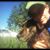 Michelle Jarvie's profile image