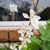 Karin Adair Crichton's profile image
