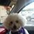 D'Ann Weathers Herrod's profile image