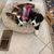 Cathy Croley's profile image