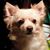 Samantha Bartron's profile image