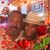 Audrey Perrelli's profile image