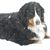 Jude Ann Carey's profile image