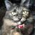 Sue Lacy Edwards Donilon's profile image