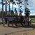 Laurie Johnson Capece's profile image