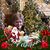 Lynda Mitchell Davenport's profile image