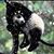 Teri Moore's profile image