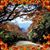 Michelle Gammill Wilson's profile image