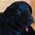 Diane O'brien's profile image