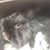 Robin Locci's profile image