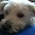 Beth Book Groff's profile image