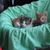 Sherry Tynes Henshaw's profile image