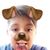Brandon Matinez's profile image
