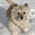 Barni Carson's profile image