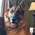 Sharry Lepinski Dalbec's profile image