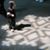 Chris Holder's profile image