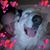 John M Johnston's profile image