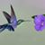 Annette Marie Taylor's profile image