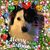 Jackie Spence's profile image