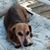 Lynn Petscher Enk's profile image