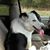 Cindy Calebs's profile image