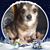 Terry Sage's profile image