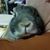 John Keglovich's profile image