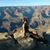 Karen Wood Trogdon's profile image