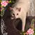 Daisy Daysie's profile image