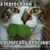 Margaret Graf Gallagher's profile image