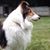 Anne Platt's profile image