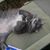 Julie Boland's profile image