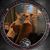 Mike Chipman's profile image