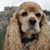 Connie Randolph's profile image