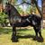 Ortiz Eduardo's profile image