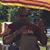 Michael D. Garcia's profile image