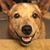 Linda Travis- Adams's profile image