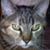 Richard Tanner's profile image