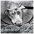 Yvonne Batterson's profile image