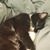 Leeanna O'Carroll's profile image