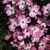 Fran Ubinger Beck's profile image