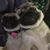 Terri French Campbell's profile image