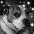 Jamie Dozier Hill's profile image