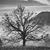 Jill Edwards Steeley's profile image