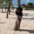 Erica Edwards's profile image