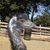 Judy Ann Payne Olson's profile image